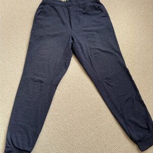 Mens Lululemon Lemon joggers M